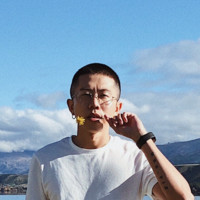 Wei Xuan Ngoi