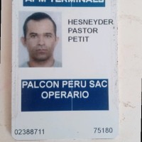 Hesneyder Petit