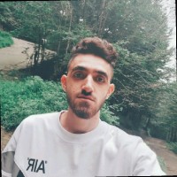Hamid Amini