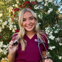 Allison Steele Bsn, Rn