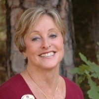 Sandi North