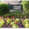 Talltree Gardens