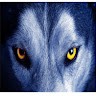 Lee Wolf