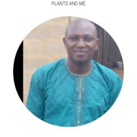 Awofisayo Lekan