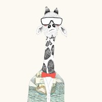 张晓红