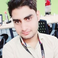 Alok Sharma