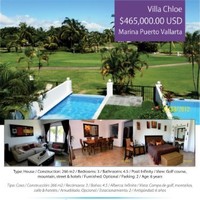 Daniela Vallarta Beyond