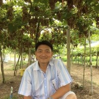 Sansiri Ngamsubphong
