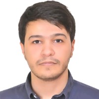 AHMED ABUSHAWAREB