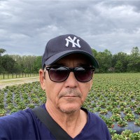 Alejandro Braulio Moya Baute