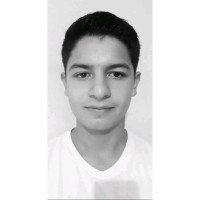 Cesar Alejandro Martinez Araiza