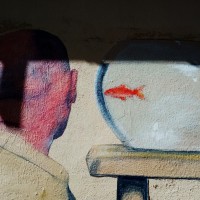 Mathieu Lamy