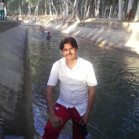 abbas bashir