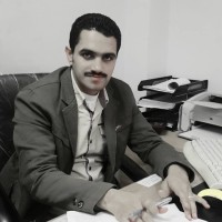 Hany Elshoura