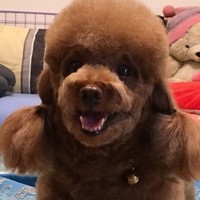謝馨儀