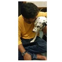 Ankit Chauhan