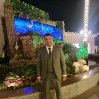 Mahmoud Morsy Mba , Nebosh Igc ,
