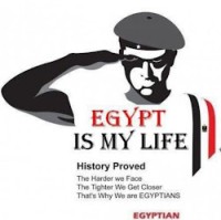 Hossam Elsalhy