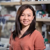 Xiaojing Yang