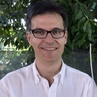 Michele Matassini