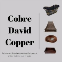 David Saucedo Ornelas