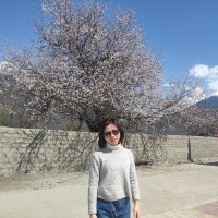 Helen Guan