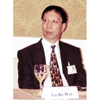 Bowei YU