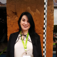 Priscila Vogelei Ramos