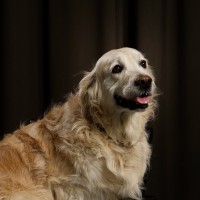Mademoiselle Houpette
