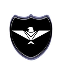 Eagle Security