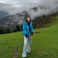 Rozhin Kashani