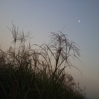 Sangkwon Hyun