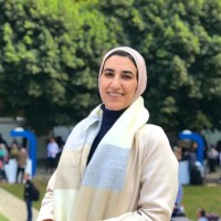 Menna Mohsen