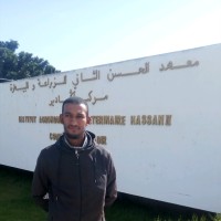 Idder Bakhouch