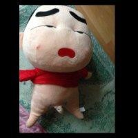 杨延昭