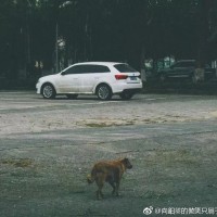 石欢欢