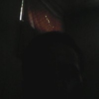 endang sucipto