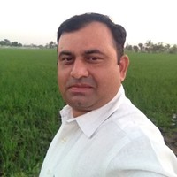 Ankush Sangale