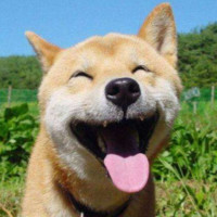 郑文凯