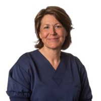 Kathy Desmedt