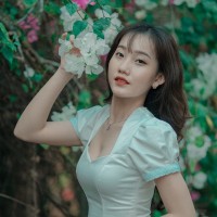 Dương Cẩm Duyên