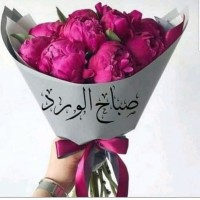 حسين التميمي