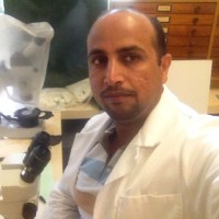 Dr. Ali Salman