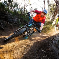 Timmy Windshuttle