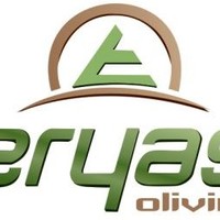 ERYAS MINING