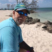 David Vasile