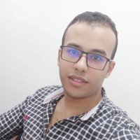 Mohamed Khaled Amer