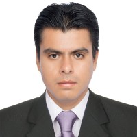 Percy Javier Gonzales Melendez