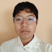 DIEGO AKIRA ALVARADO ARROYO