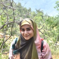 Nour Hashem